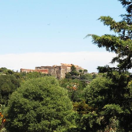 Magnifique Appartement Proche Centre Collioure Buitenkant foto